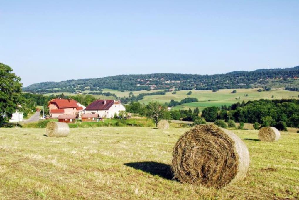 La Maison D'Elodie Foncine-le-Haut エクステリア 写真