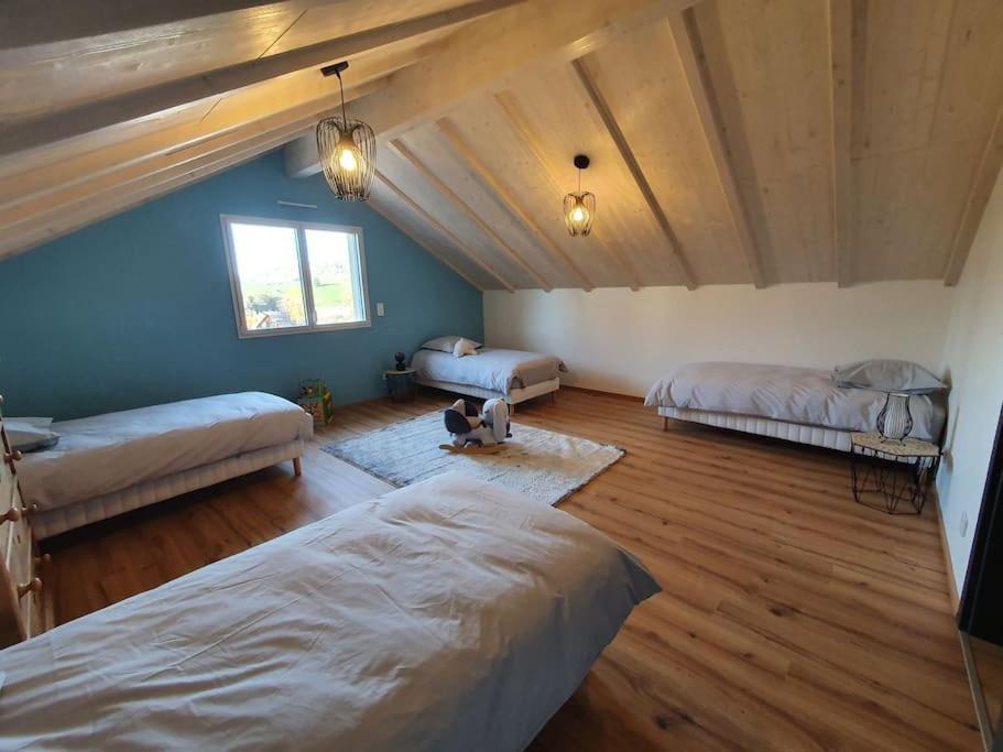 La Maison D'Elodie Foncine-le-Haut エクステリア 写真